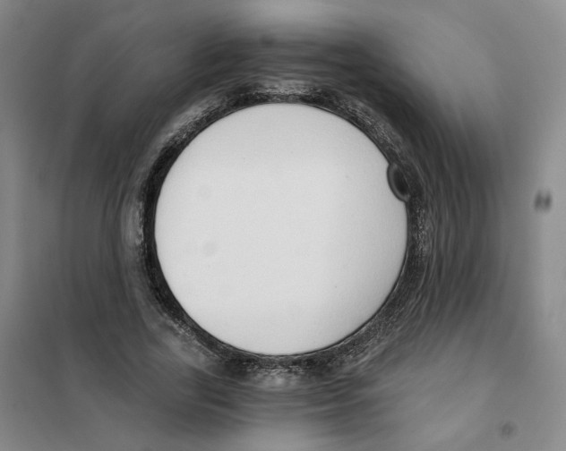 X0000101120731200807241158