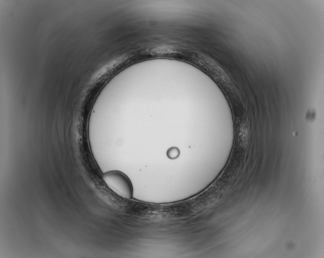 X0000101120732200807241158