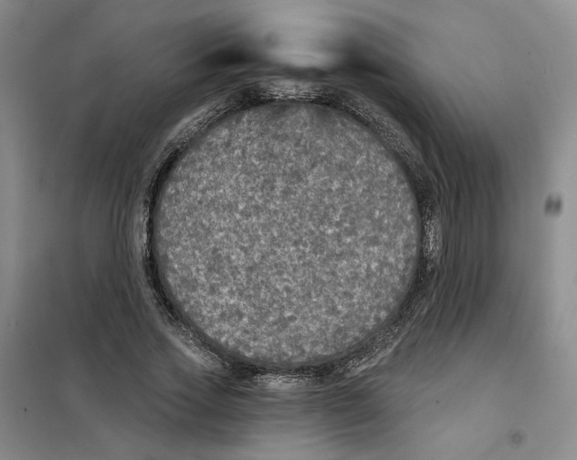 X0000101120733200807241158