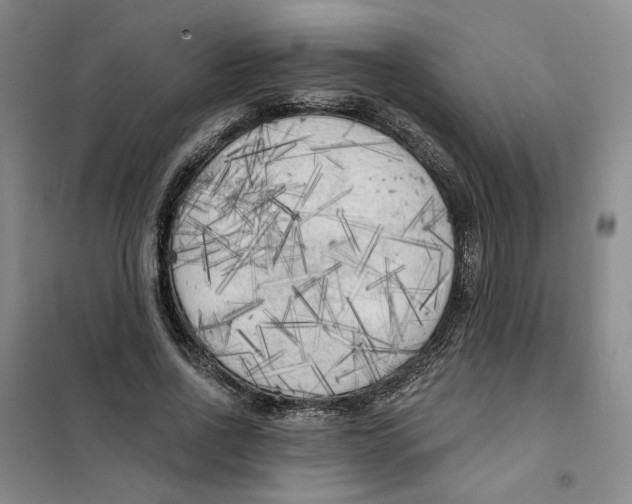 X0000101120734200807241158