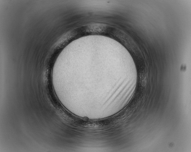 X0000101120735200807241158