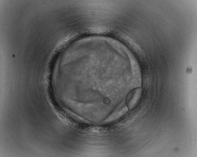 X0000101120736200807241158
