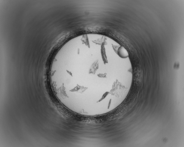 X0000101120738200807241158