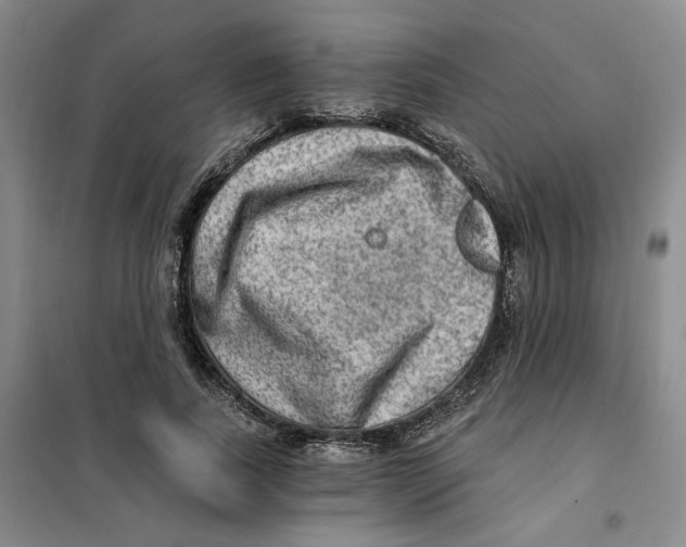 X0000101120739200807241158