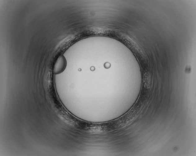 X0000101120740200807241158