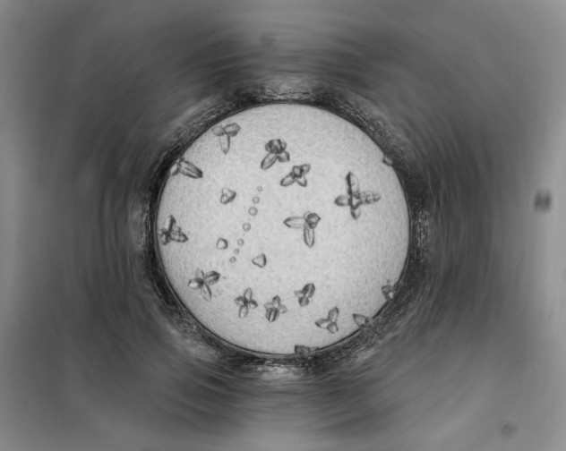 X0000101120741200807241159