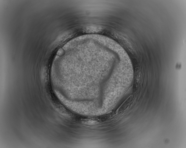 X0000101120743200807241159