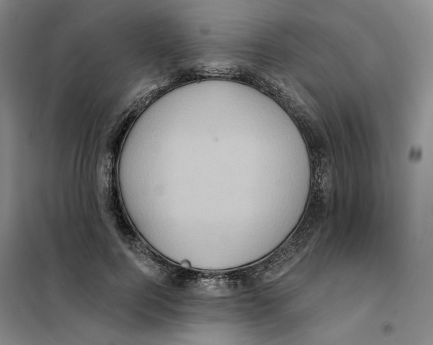 X0000101120744200807241159