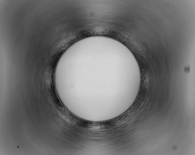 X0000101120746200807241159