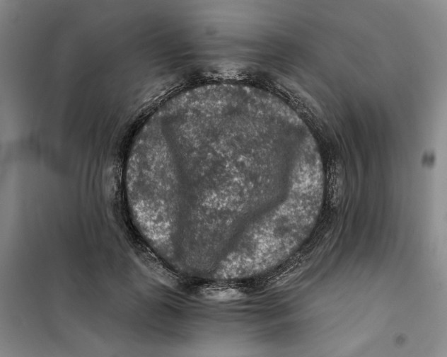 X0000101120747200807241159