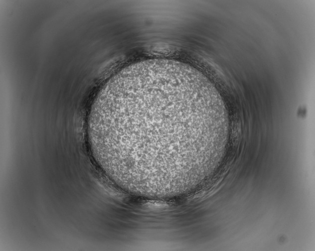 X0000101120749200807241159