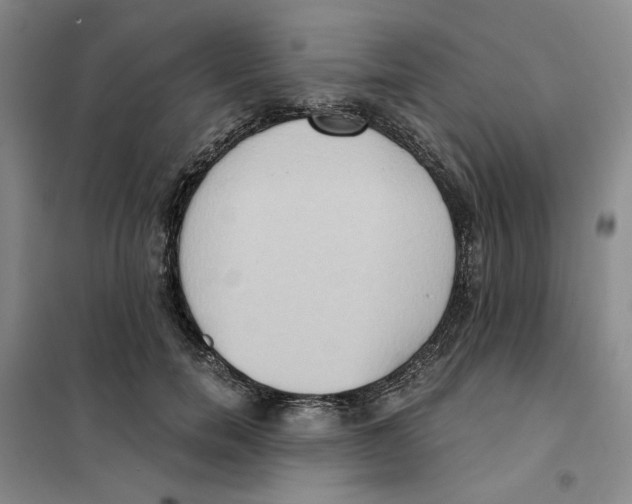 X0000101120750200807241159