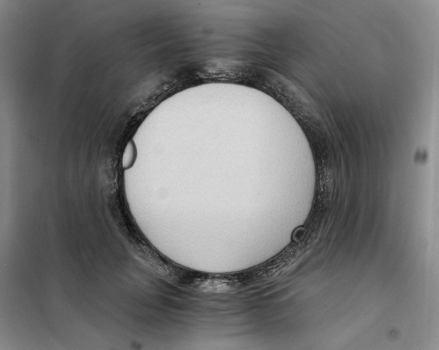 X0000101120751200807241159