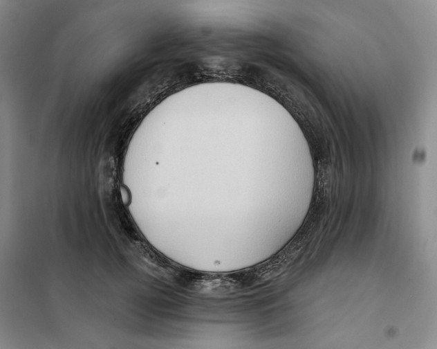 X0000101120752200807241159