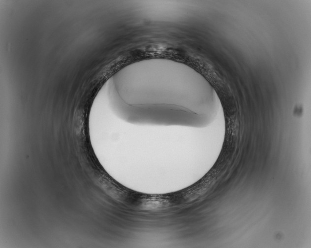 X0000101120754200807241159