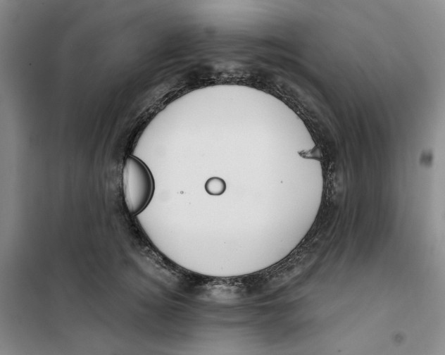 X0000101120756200807241159