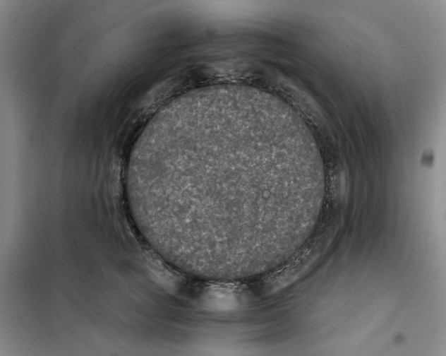 X0000101120757200807241159
