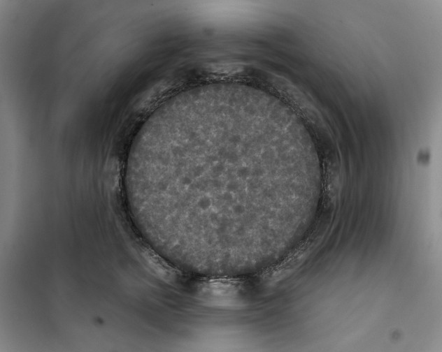 X0000101120758200807241159