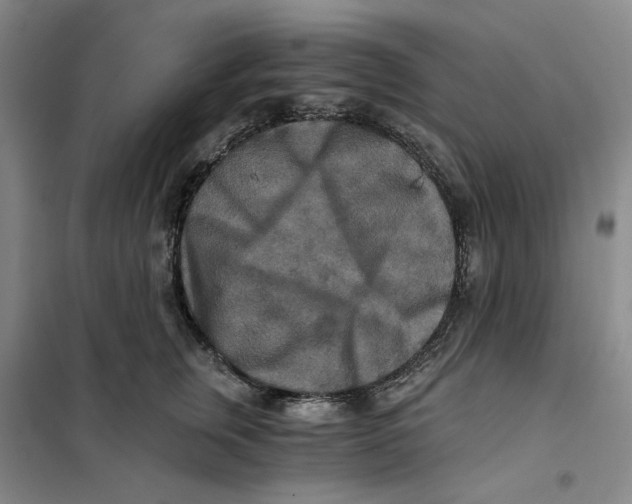 X0000101120759200807241159