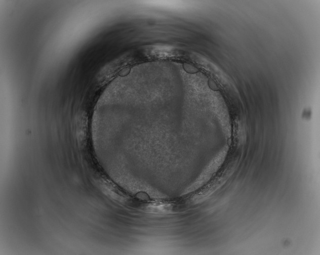 X0000101120760200807241159