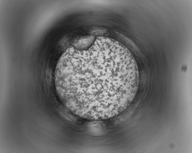 X0000101120761200807241159
