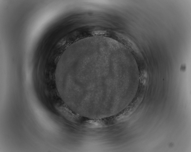 X0000101120763200807241159