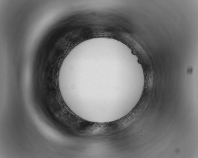 X0000101120764200807241159