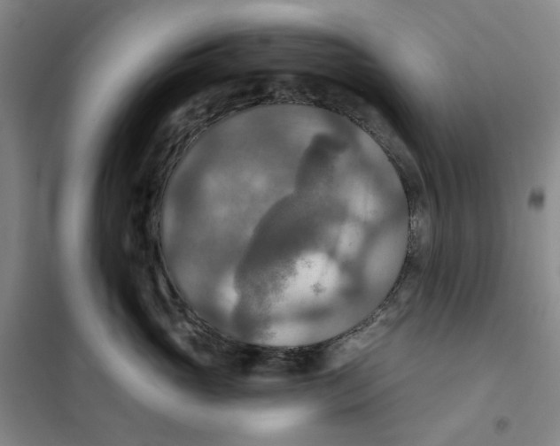 X0000101120765200807241159
