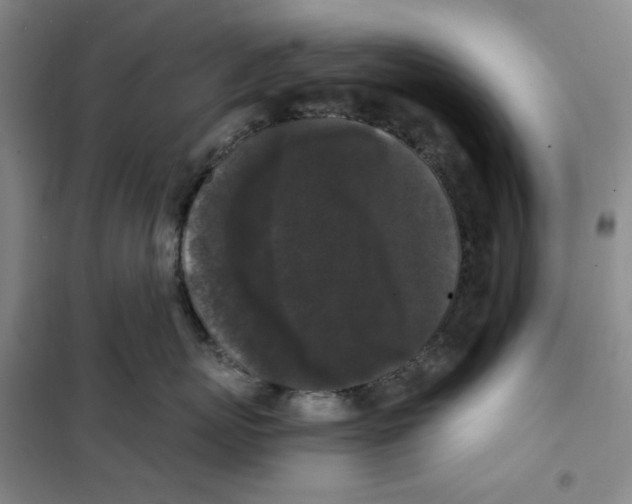 X0000101120767200807241159