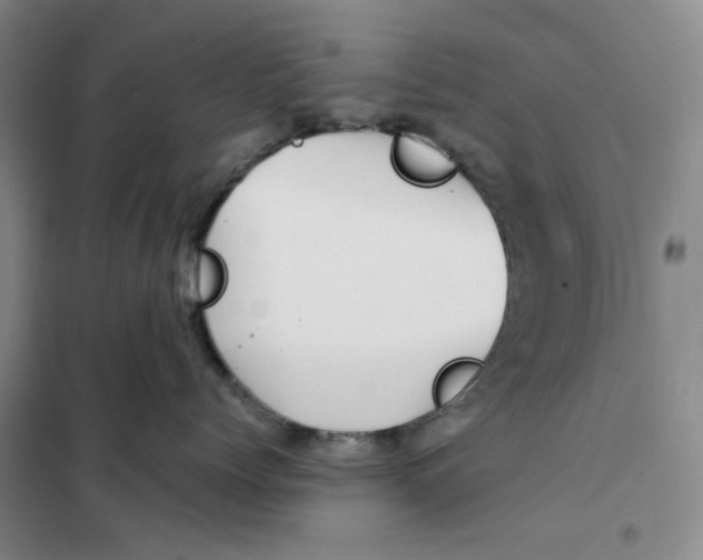 X0000101120768200807241159