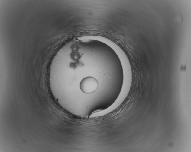 X0000101120769200807241158