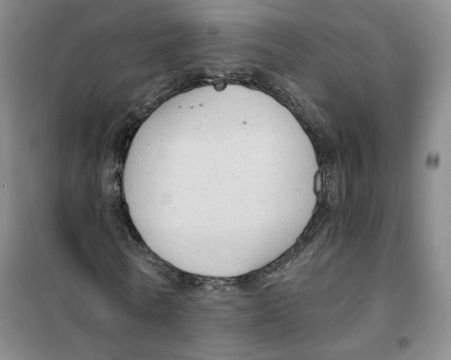 X0000101120770200807241158