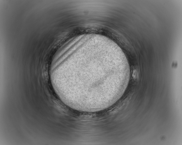 X0000101120771200807241158