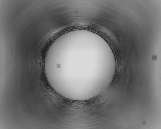 X0000101120773200807241158