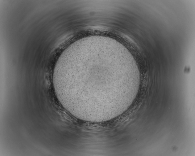 X0000101120774200807241158