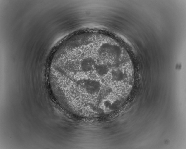 X0000101120775200807241158