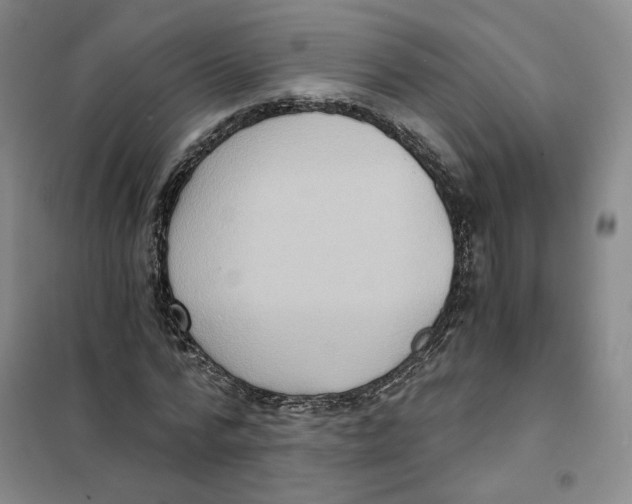 X0000101120776200807241158
