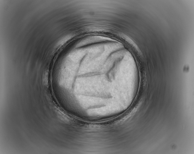 X0000101120777200807241158