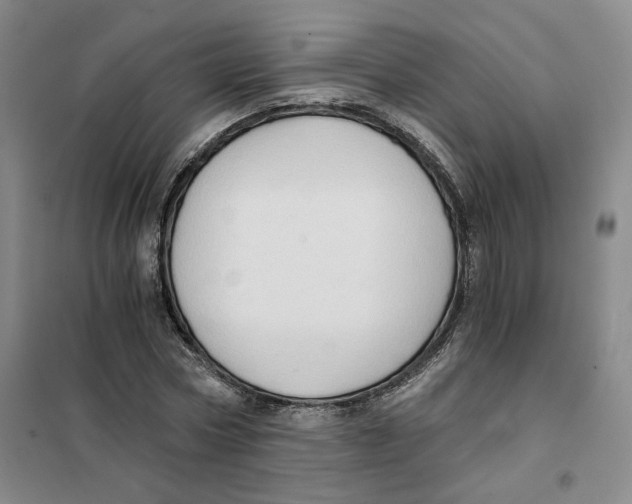 X0000101120778200807241158