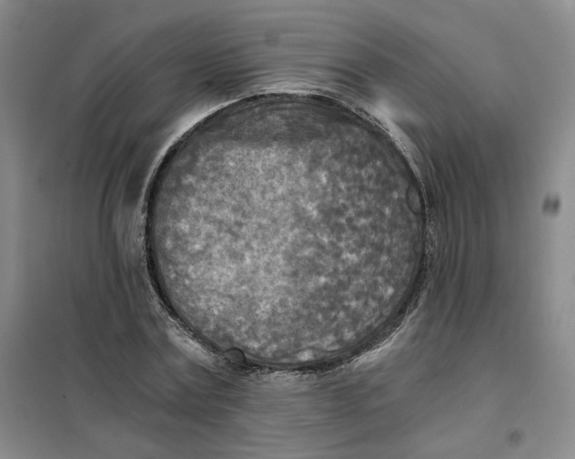 X0000101120779200807241158