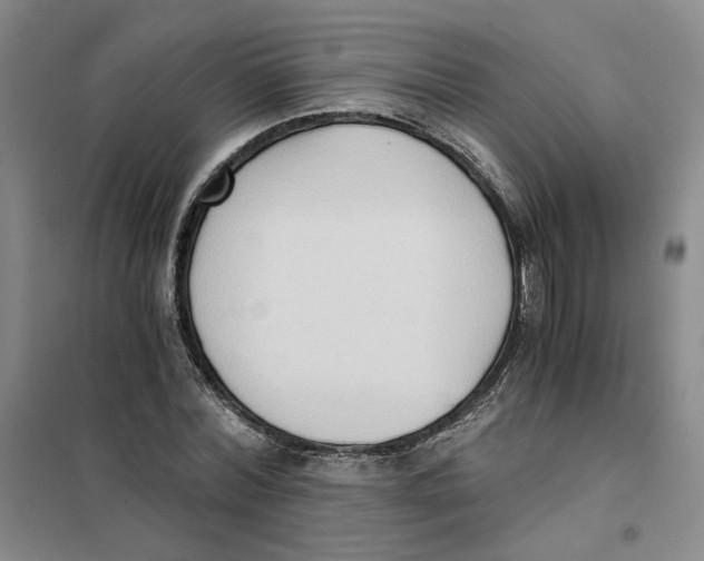 X0000101120780200807241158