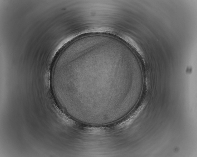 X0000101120781200807241158