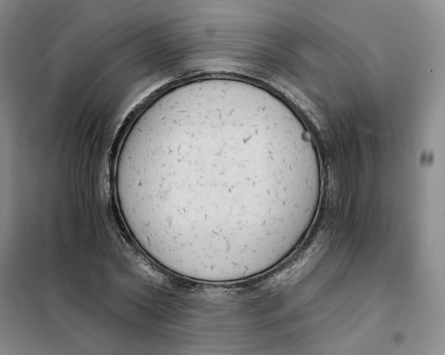 X0000101120782200807241158