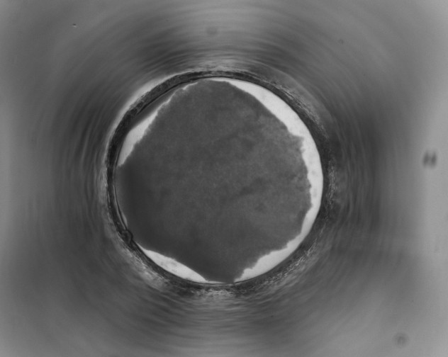 X0000101120784200807241158