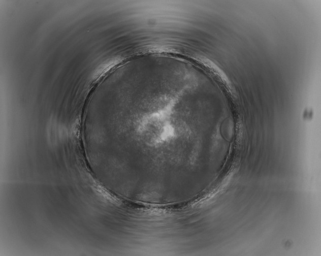 X0000101120785200807241158