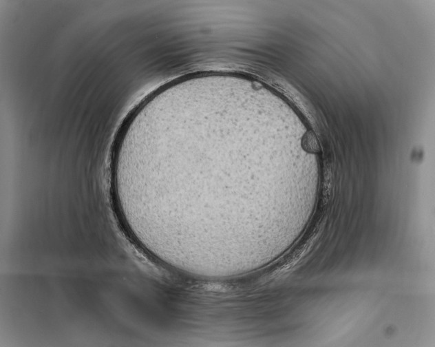 X0000101120787200807241158