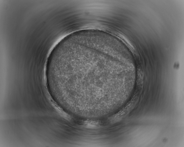 X0000101120788200807241158