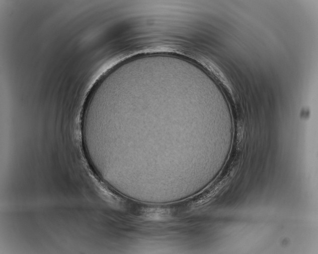 X0000101120789200807241158