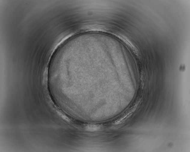 X0000101120790200807241158