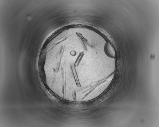 X0000101120791200807241158